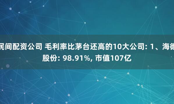 民间配资公司 毛利率比茅台还高的10大公司: 1、海德股份: 98.91%, 市值107亿