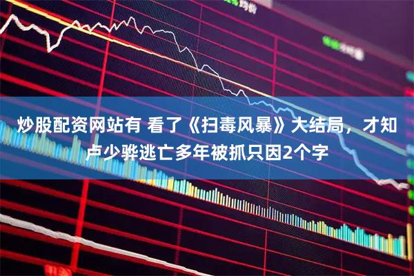 炒股配资网站有 看了《扫毒风暴》大结局，才知卢少骅逃亡多年被抓只因2个字